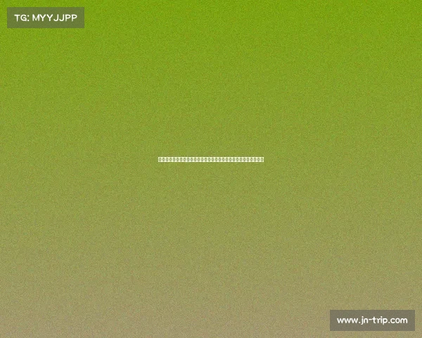 河南对阵英博五外援对三外援朱鹏宇首发马马杜佩尼亚替补激烈碰撞