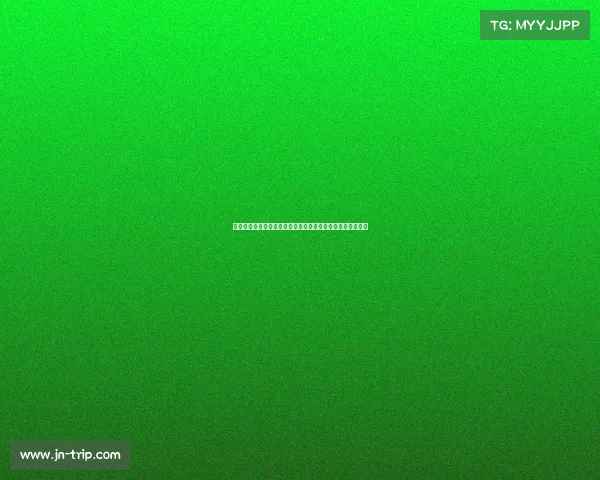 海登海姆崛起记：德甲黑马如何在竞争激烈的联赛中脱颖而出